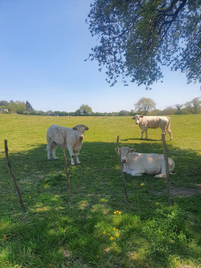 Villa Fleur De Lys Au Puy Du Fou - Stayinvendee La Gaubretiere Kültér fotó